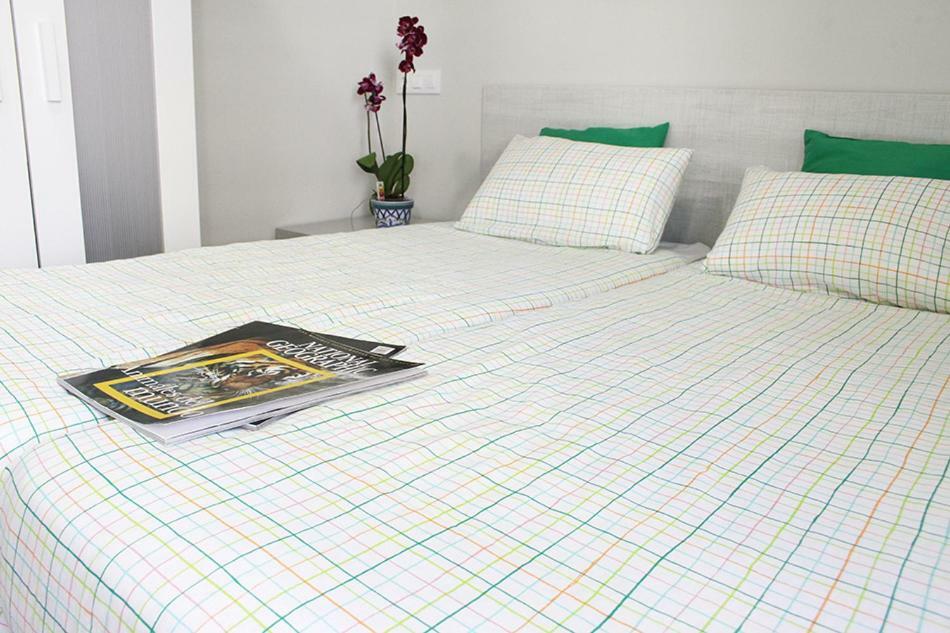 Apartamentos Logrono Centro エクステリア 写真