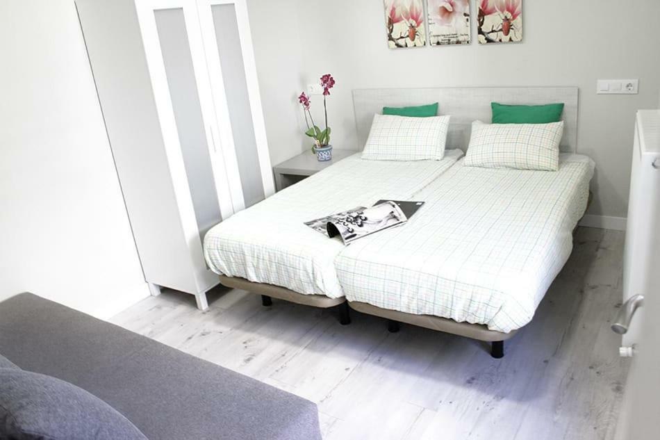 Apartamentos Logrono Centro エクステリア 写真