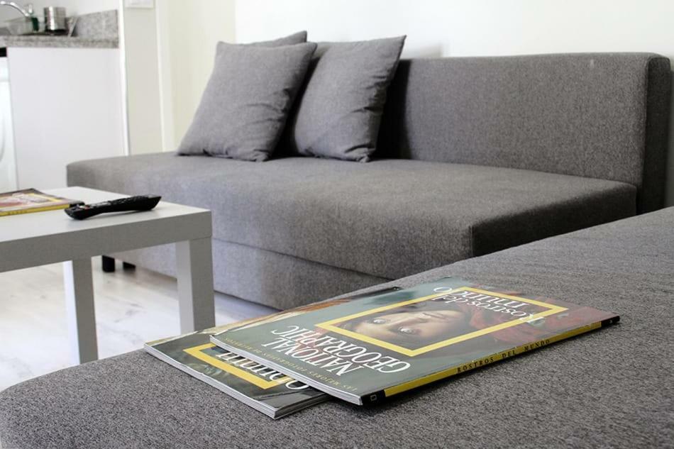 Apartamentos Logrono Centro エクステリア 写真